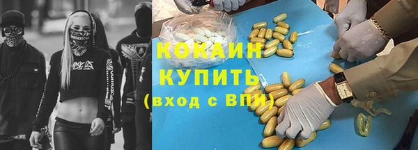 молекула духа Кулебаки