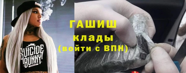 молекула духа Кулебаки