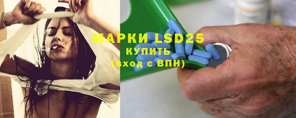 молекула духа Кулебаки