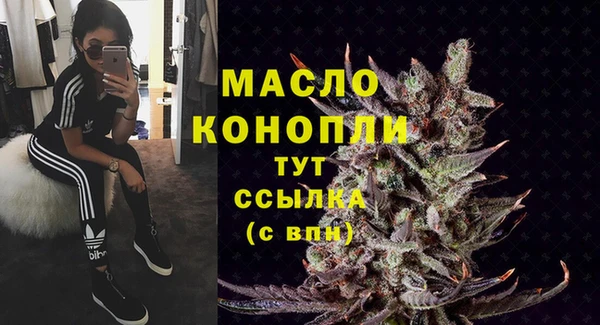 молекула духа Кулебаки