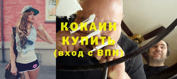 молекула духа Кулебаки