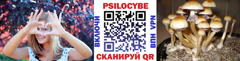 Купить  Трёхгорный  Галлюциногенные грибы мухоморы 